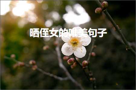 祝晚安的句子唯美（文案596条）+